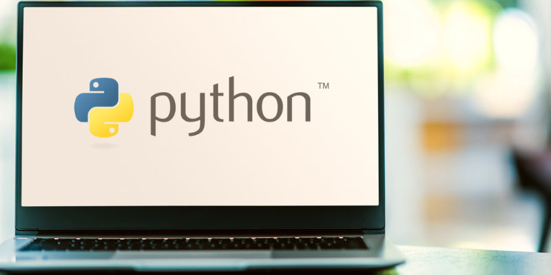 What are the Data Types in Python?