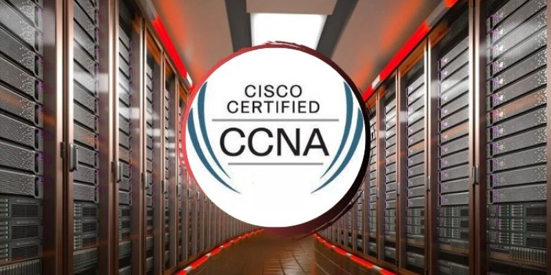 Can You Get a Job Without Experience After Completing CCNA?